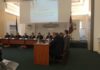 ДЕРЖАВНЕ УПРАВЛІННЯ ЛЮДСЬКИМИ РЕСУРСАМИ У СФЕРІ ОХОРОНИ ЗДОРОВ’Я В УКРАЇНІ