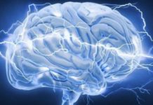 „Кардіоневрологія – сучасні аспекти міждисциплінарних проблем”