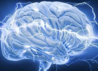 „Кардіоневрологія – сучасні аспекти міждисциплінарних проблем”