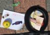 Бюджет науки чи крихти для виживання