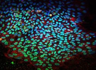 Подовжено термін подання заяв на участь у симпозіумі для молодих вчених