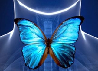 «Ендокринна патологія у віковому аспекті»