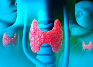 «Українська школа ендокринології»