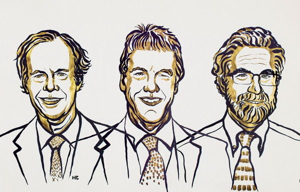 Нобелівська премія з медицини 2019: як клітини пристосовуються до коливань рівня кисню