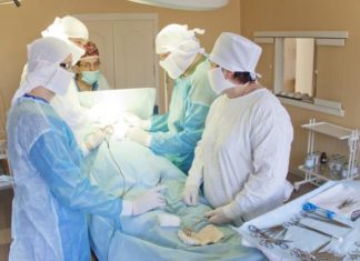 Ендокринологія: сучасні виклики і відкриття