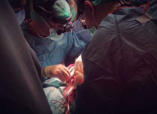 Трансплантація нирки в Національному інституті ім. Шалімова НАМН України