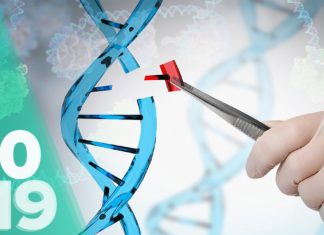 Найважливіші відкриття в медицині у 2019 році