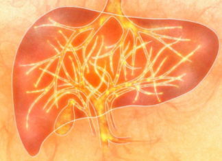 Інноваційні методи визначення фіброзу печінки