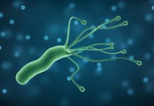 Діагностика та лікування Helicobacter pylori-інфекції у дітей