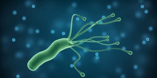 Діагностика та лікування Helicobacter pylori-інфекції у дітей