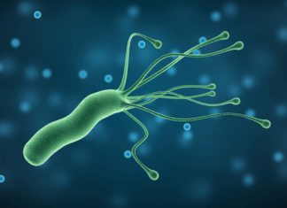 Діагностика та лікування Helicobacter pylori-інфекції у дітей