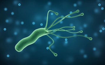 Діагностика та лікування Helicobacter pylori-інфекції у дітей