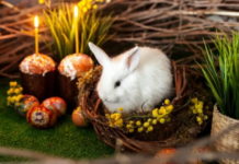 Привітання від Президії НАМН України з нагоди Cвітлого Христового Воскресіння!