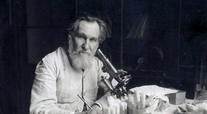 Підготовка до 175-річчя з Дня народження великого вченого, біолога Мечникова Іллі Ілліча