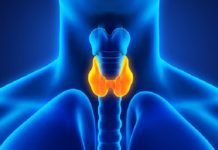 25 травня – Всесвітній день щитоподібної залози