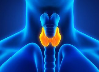 25 травня – Всесвітній день щитоподібної залози