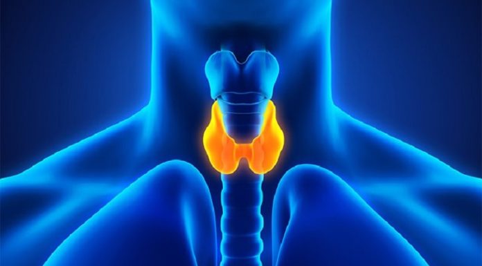 25 травня – Всесвітній день щитоподібної залози