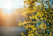 Інформація щодо якості атмосферного повітря у м. Київ протягом квітня 2020 року 1