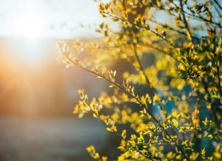 Інформація щодо якості атмосферного повітря у м. Київ протягом квітня 2020 року 1