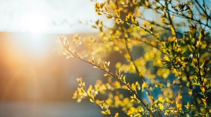 Інформація щодо якості атмосферного повітря у м. Київ протягом квітня 2020 року 1