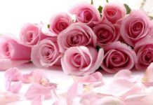 Президія НАМН України сердечно вітає Веселовську Зою Федорівну з ювілеєм!