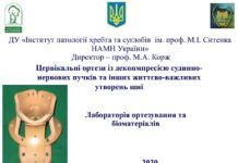 Цервікальні ортези із декопмпресією судинно-нервових пучків та інших життєво-важливих утворень шиї