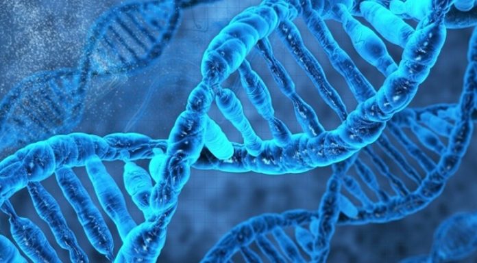 МікроРНК – малі молекули з великим значенням для фармакотерапії хвороби Альцгеймера