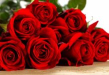 Президія НАМН України щиро вітає доктора медичних наук, професора Ю.Л.Кучина з призначенням на посаду ректора Національного медичного університету імені О.О.Богомольця