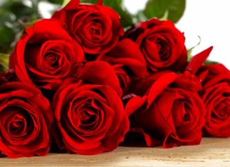 Президія НАМН України щиро вітає доктора медичних наук, професора Ю.Л.Кучина з призначенням на посаду ректора Національного медичного університету імені О.О.Богомольця