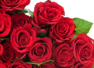 Президія НАМН України щиро вітає Міністра охорони здоров’я Максима Володимировича Степанова з Днем народження!