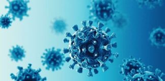 Інформація щодо COVID-19 станом на 12.08.2020 р.