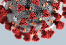 Інформація щодо COVID-19 станом на 01.10.2020 р.