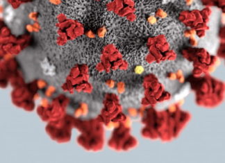 Інформація щодо COVID-19 станом на 01.10.2020 р.