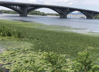 Небезпечні води України