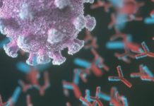 Інформація щодо COVID-19 станом на 13.11.2020 р.