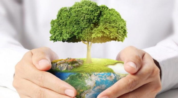 Науково-практична конференція “Фізичні фактори довкілля та їх вплив на формування здоров’я населення України”