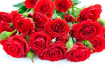 Президія НАМН України сердечно вітає Аряєва Миколу Леонідовича з ювілеєм!