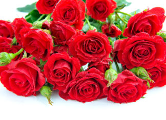 Президія НАМН України сердечно вітає Аряєва Миколу Леонідовича з ювілеєм!