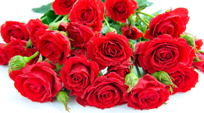 Президія НАМН України сердечно вітає Аряєва Миколу Леонідовича з ювілеєм!