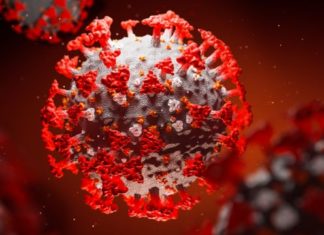 Інформація щодо COVID-19 станом на 29.01.2021 р.