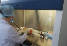 Корисні бактерії проти коронавірусу