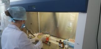 Корисні бактерії проти коронавірусу