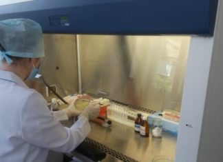 Корисні бактерії проти коронавірусу