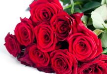 Президія НАМН України сердечно вітає Лісяного Миколу Івановича з ювілеєм!