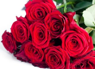 Президія НАМН України щиро вітає президента НАН України Анатолія Глібовича Загороднього з Днем народження!