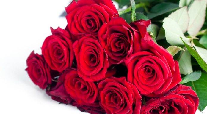 Президія НАМН України сердечно вітає Лісяного Миколу Івановича з ювілеєм!