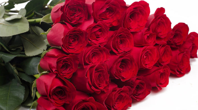 Вітаємо президента НАМН України академіка Віталія Цимбалюка з Днем народження!