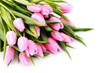 Привітання до Міжнародного жіночого дня