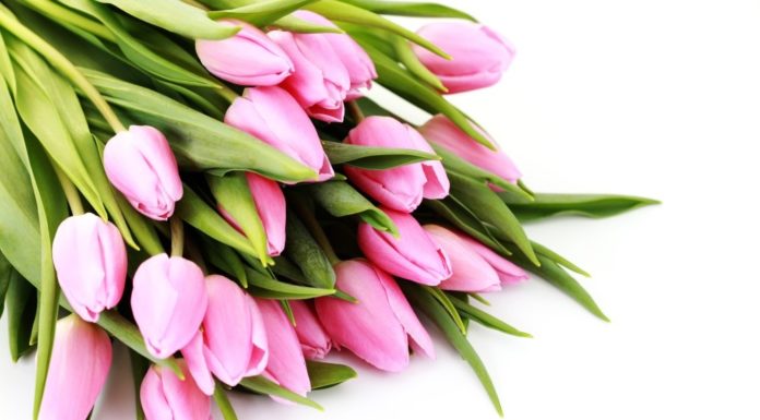 Привітання до Міжнародного жіночого дня