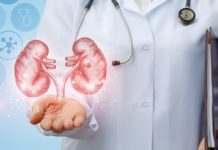 Здорові нирки — запорука здорового і довгого життя